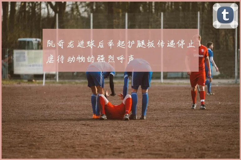 阮奇龙进球后举起护腿板传递停止虐待动物的强烈呼声